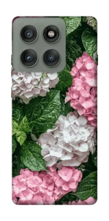 Чехол на Motorola Edge 60 Pro Secret Garden фото 1 из 1