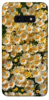 Чохол на Samsung Galaxy S10e Camomile фото 1 з 1