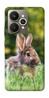 Чохол на Realme 15 Кролики фото 1 з 1
