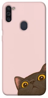 Чехол на Samsung Galaxy M11 Peeping cat фото 1 Чехол на Samsung Galaxy M11 Peeping cat фото 1 из 1
