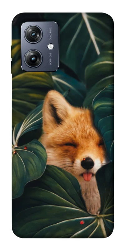 Чохол на Motorola Moto G54 Fox фото 1 з 1