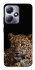Чохол на Infinix Hot 30i Leopard v4 фото 1 з 1