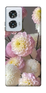 Чохол на Motorola Edge 50 Fusion Flowers v2 фото 1 з 1