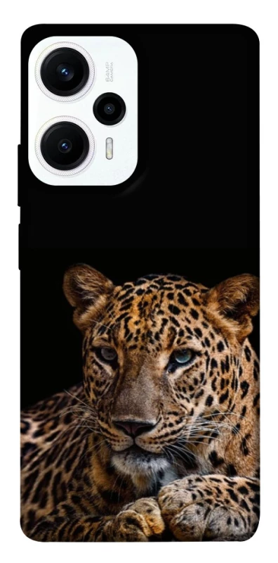Чохол на Xiaomi Poco F5 / Note 12 Turbo Leopard v4 фото 1 з 1