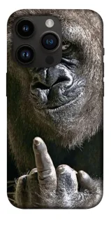Чохол на Apple iPhone 14 Pro (6.1") Surprise фото 1 з 1