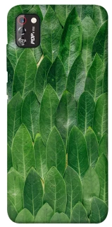 Чехол на TECNO POP 4 Pro Листья фото 1 из 1