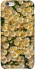 Чехол на Apple iPhone 6/6s plus (5.5") Camomile фото 1 из 1