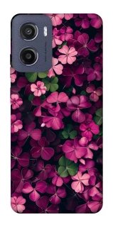 Чехол на Motorola Moto G05 Flowers v7 фото 1 из 1