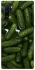 Чохол на Samsung Galaxy Note 10 Plus Cucumber фото 1 з 1