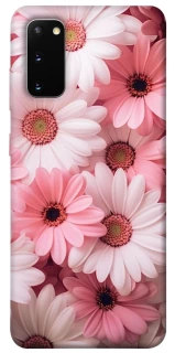 Чехол на Samsung Galaxy S20 Розовые цветы v2 фото 1 из 1