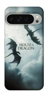 Чохол на Google Pixel 9 Pro XL House of the Dragon ver.5 фото 1 з 1
