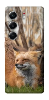 Чехол на Tecno Camon 40 Лиса фото 1 из 1