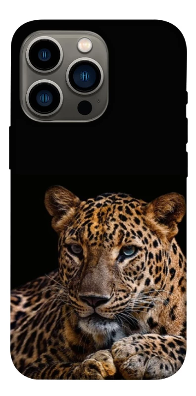 Чохол на Apple iPhone 13 Pro (6.1") Leopard v4 фото 1 з 1
