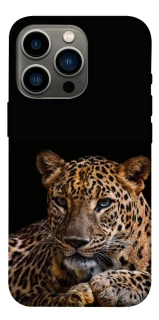 Чехол на Apple iPhone 13 Pro (6.1") Leopard v4 фото 1 из 1