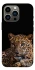 Чохол на Apple iPhone 13 Pro (6.1") Leopard v4 фото 1 з 1