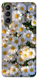 Чохол на Samsung Galaxy S21 Поле ромашок фото 1 з 1