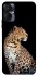 Чохол на TECNO Spark 9 Pro (KH7n) Leopard v2 фото 1 з 1