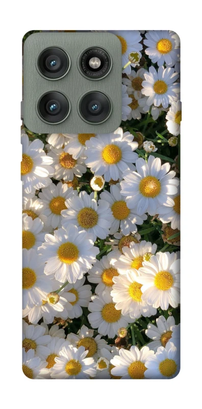 Чехол на Motorola Edge 60 Pro Поле ромашек фото 1 из 1
