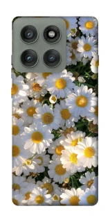 Чехол на Motorola Edge 60 Pro Поле ромашек фото 1 из 1