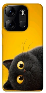 Чохол на Tecno Spark Go 2023 This is Cat фото 1 з 1