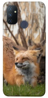 Чехол на OnePlus Nord N100 Лиса фото 1 из 1