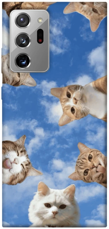Чохол на Samsung Galaxy Note 20 Ultra Сats фото 1 з 1