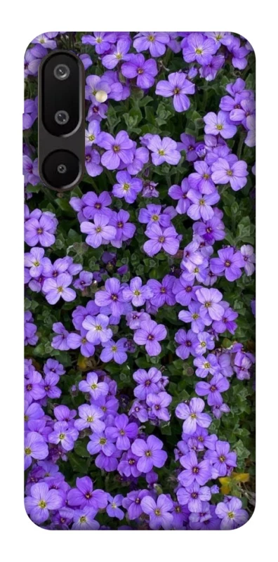 Чехол на Samsung Galaxy M16 5G Flowers v17 фото 1 из 1