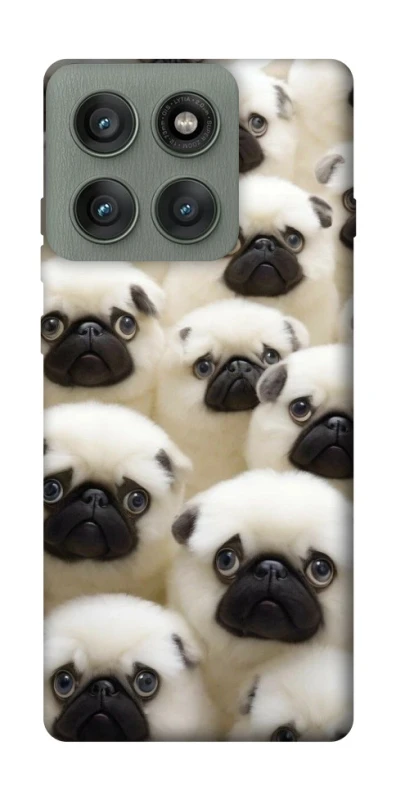 Чохол на Motorola Edge 60 Pro Doggy Pug Love фото 1 з 1