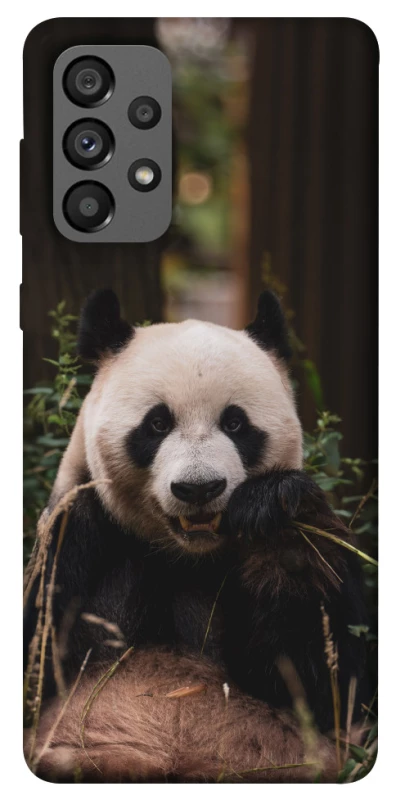 Чохол на Samsung Galaxy A73 5G Панда фото 1 з 1