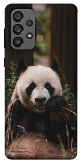 Чохол на Samsung Galaxy A73 5G Панда фото 1 з 1