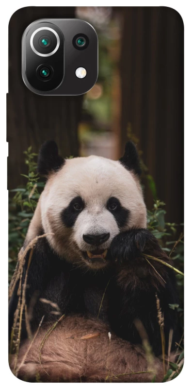 Чохол на Xiaomi Mi 11 Lite Панда фото 1 з 1
