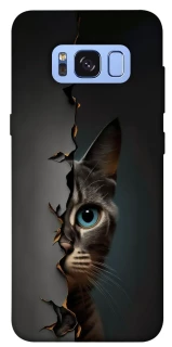 Чехол на Samsung G950 Galaxy S8 Кот-подглядыватель v2 фото 1 из 1