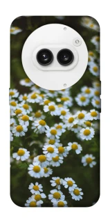Чехол на Nothing Phone (2a) Ромашки v13 фото 1 из 1