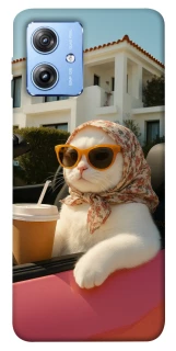 Чохол на Motorola Moto G84 Stylish Cat Cruise фото 1 з 1
