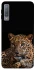 Чохол на Samsung A750 Galaxy A7 (2018) Leopard v4 фото 1 з 1