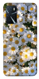Чохол на Oppo A16s / A16 Поле ромашок фото 1 з 1