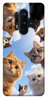 Чехол на OnePlus 8 Pro Cats фото 1 из 1