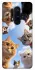 Чехол на OnePlus 8 Pro Cats фото 1 из 1