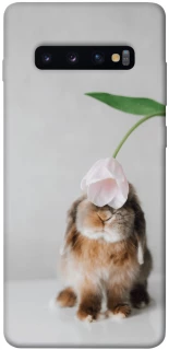 Чохол на Samsung Galaxy S10+ Bunny фото 1 з 1