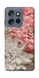 Чохол на Motorola Edge 50 Neo Spring flow фото 1 з 1