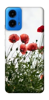 Чохол на Motorola Moto G45 Поле маків фото 1 з 1