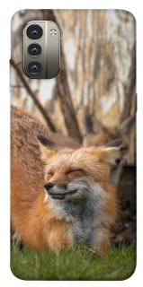 Чехол на Nokia G11 Лиса фото 1 из 1