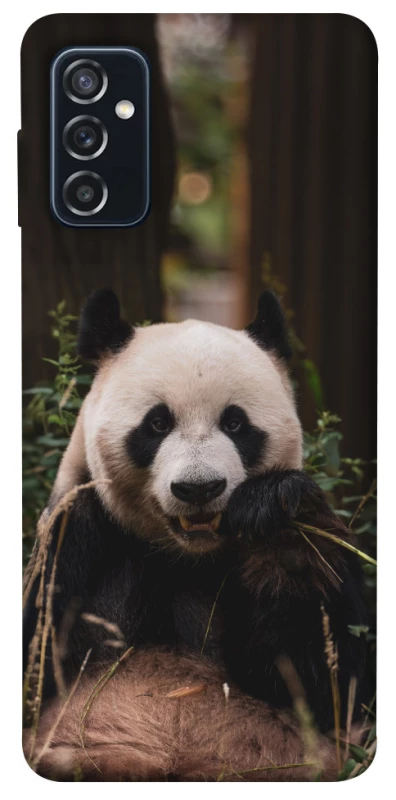 Чехол на Samsung Galaxy M52 Панда фото 1 из 1