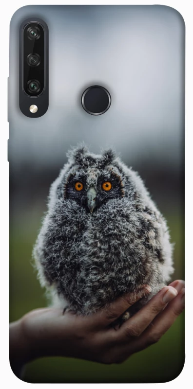 Чехол на Huawei Y6p Совёнок фото 1 из 1