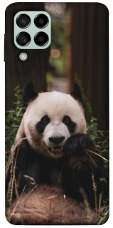 Чехол на Samsung Galaxy M53 5G Панда фото 1 из 1