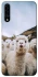 Чохол на Samsung Galaxy A50 (A505F) / A50s / A30s Лама фото 1 з 1