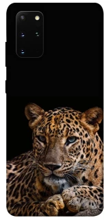 Чохол на Samsung Galaxy S20+ Leopard v4 фото 1 з 1