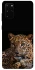 Чохол на Samsung Galaxy S20+ Leopard v4 фото 1 з 1