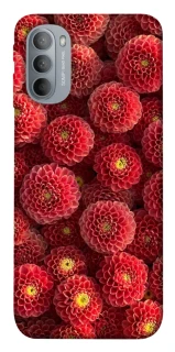 Чохол на Motorola Moto G31 Midnight1 фото 1 з 1