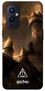 Чехол на OnePlus 9 Harry Potter ver.13 фото 1 из 1